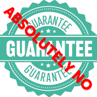 NO GUARANTEE(1)